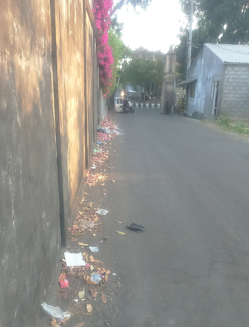 バリ島の道端に捨てられるビニール袋