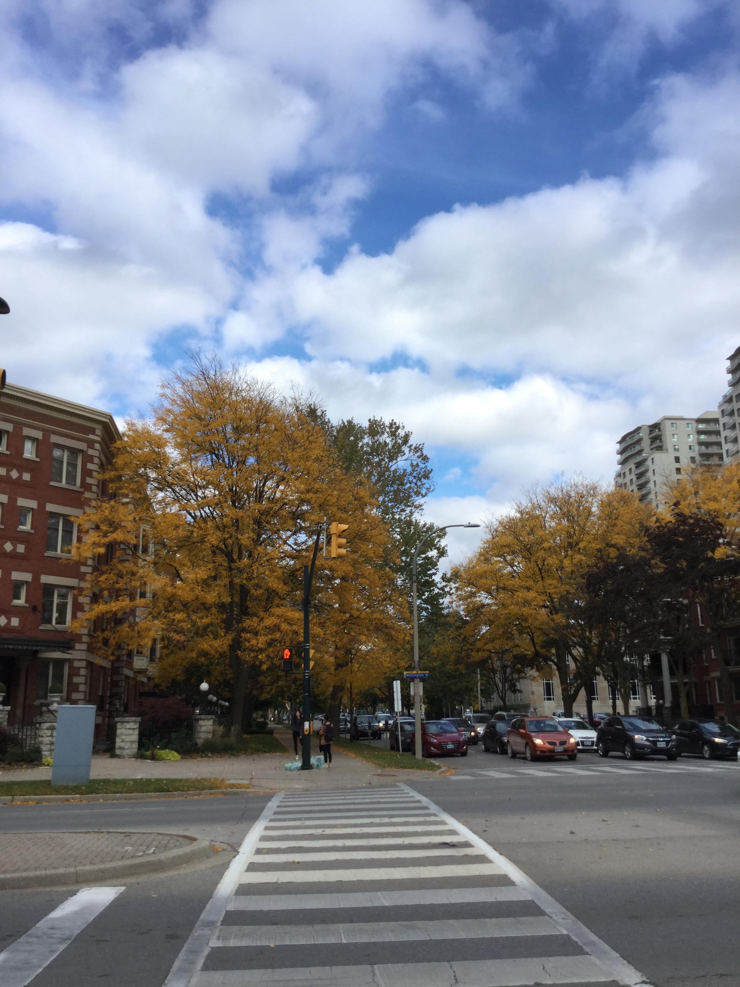 イギリスではないカナダのロンドンで語学留学